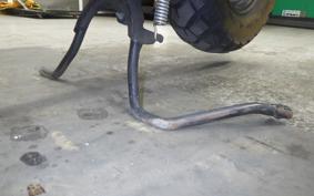 HONDA ZOOMER 2025 AF58