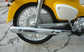 HONDA SUPER CUB50 AA09