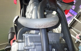 HONDA CRF250M 2024 MD44