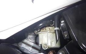 HONDA PAL 2009 AF17