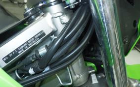 KAWASAKI KLX230S 2010 LX232A