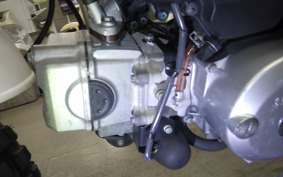 HONDA MONKEY 2013 AB27