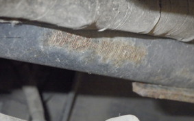 HONDA DIO Gen.6 AF68