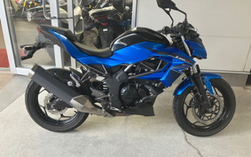 KAWASAKI Z250 SL BR250E