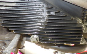 SUZUKI GSX250FX ZR250C