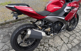 KAWASAKI Ninja 250 ABS EX250P