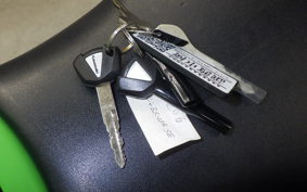 KAWASAKI ZX-25R 2023 ZX250E