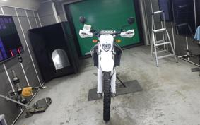 YAMAHA WR250R 2020 DG15J