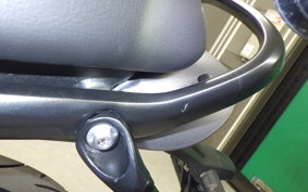 TRIUMPH SPEED 400 2024