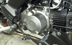 KAWASAKI Z125 PRO 2014 BR125H