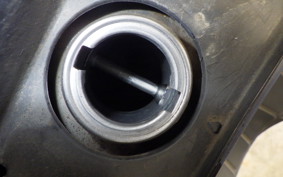 HONDA FORESIGHT EX 2009 MF04