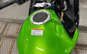 KAWASAKI NINJA 400 2014 EX400E