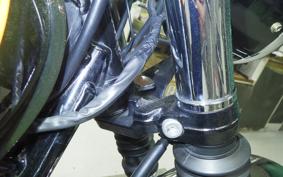 KAWASAKI W800 2016 EJ800A