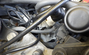 HONDA BITE AF59