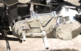 HARLEY FLSTF 2015 BX5