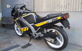 YAMAHA TZR250-1 1KT