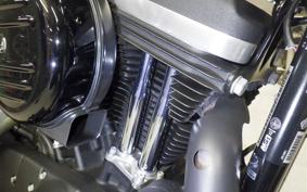 HARLEY XL883N 2021