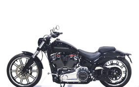HARLEY FXBRS 2021 YHK