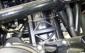 BENELLI レオンチーノ250