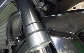 KAWASAKI NINJA 1000 A 2019 ZXT00W