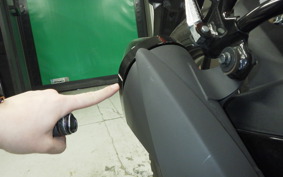 SUZUKI Vｽﾄﾛｰﾑ250SX 2025 EL11L