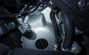 YAMAHA X-MAX 250 2025 SGA8J