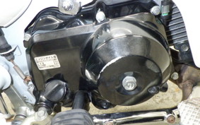 HONDA LITTLE CUB 2020 AA01