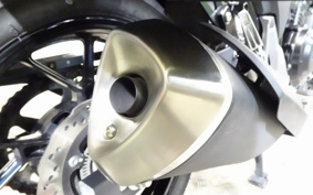 SUZUKI STROM 250 DS11A