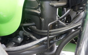 KAWASAKI NINJA 250 EX250L