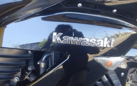 KAWASAKI ZZ1400 NINJA R 2007 ZXT40A