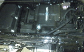 HARLEY FXST1750 2024