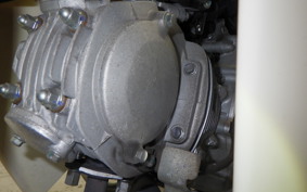 HONDA C110 SUPER CUB