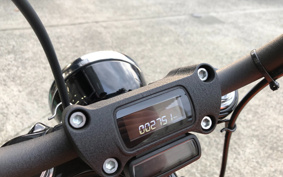 HARLEY FXBBS 2021 YYK