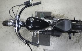 OTHER +UNREGISTERED MODEL by BDS1340 2026