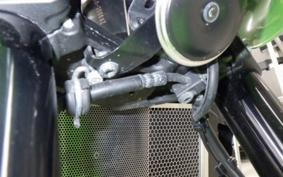 KAWASAKI Z900RS CAFE 2019 ZR900C