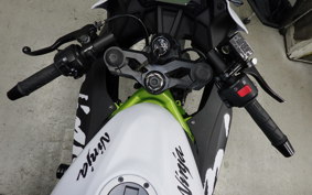 KAWASAKI NINJA 250 SL 2007