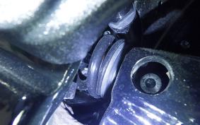 HARLEY FXLRST1920 2024