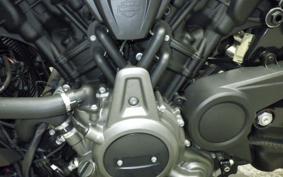 HARLEY RH975 2022