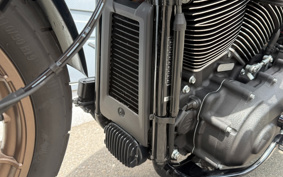 HARLEY FXLRST 2024 YXZ