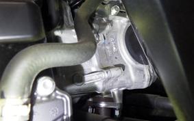 HONDA FORZA 250 2025 MF17