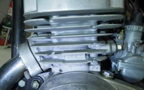 KAWASAKI 250SS 1973 S1F