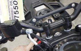 HUSQVARNA SVARTPILEN 401 2024