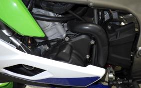 KAWASAKI ZX-4RR 2024 ZX400P