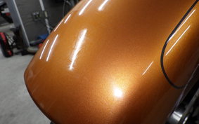 OTHER +HD. FLHXS1690 2014
