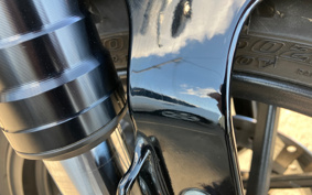 HARLEY XL1200CX 2021 LM3