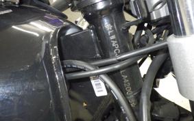 OTHER +UNREGISTERED MODEL by BDS125