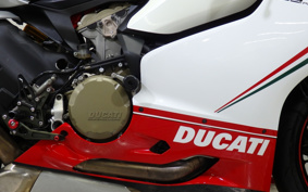 DUCATI 1199PANIGA-RES 2012