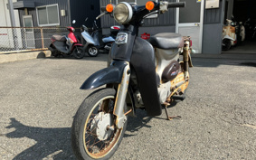 HONDA LITTLE CUB C50