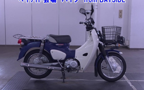 OTHER C110PU LOW 3