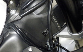 KAWASAKI NINJA ZX-6R A 2021 ZX636G
